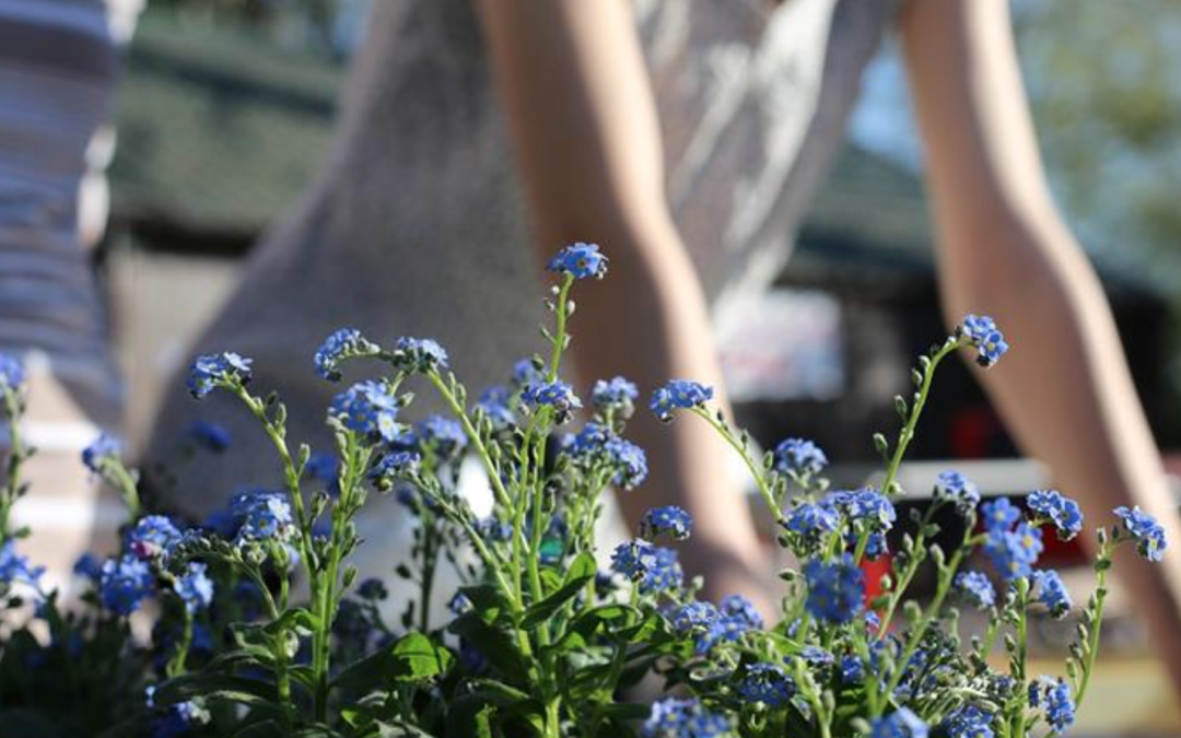 Essential Summer Home Maintenance Tips to Save on Repairs